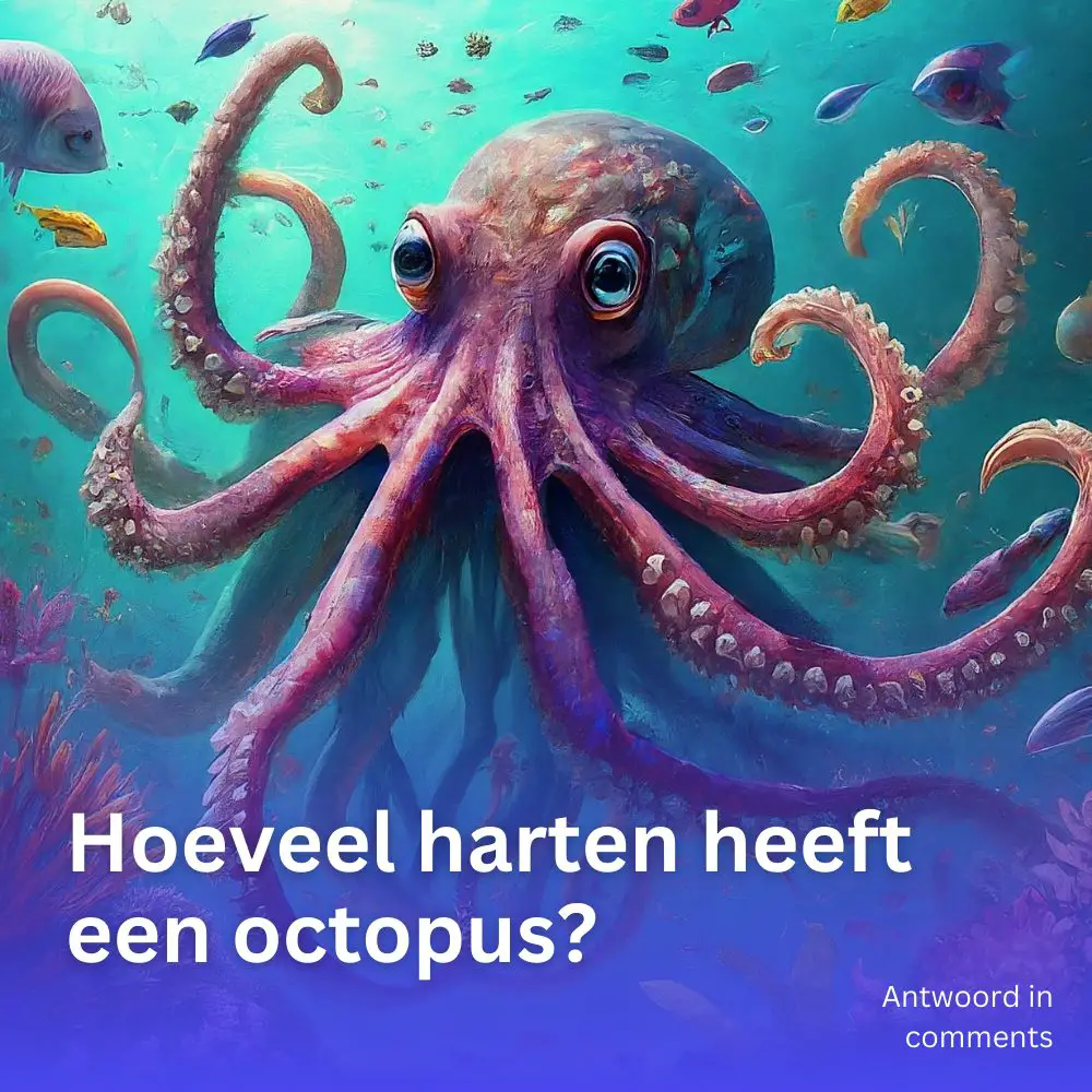 Hoeveel harten heeft een octopus?