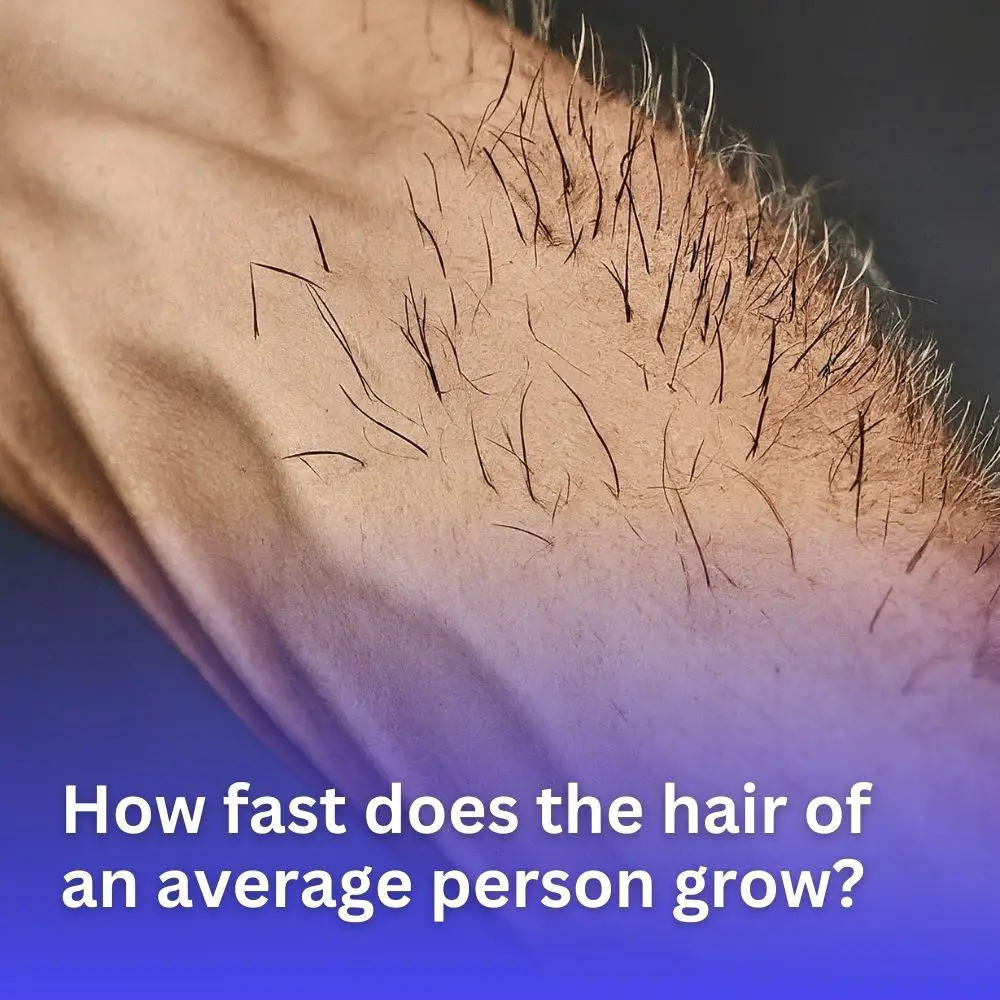 How fast does the hair of an average person grow?