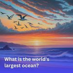 , What is the world&#8217;s largest ocean?, Good To Know
