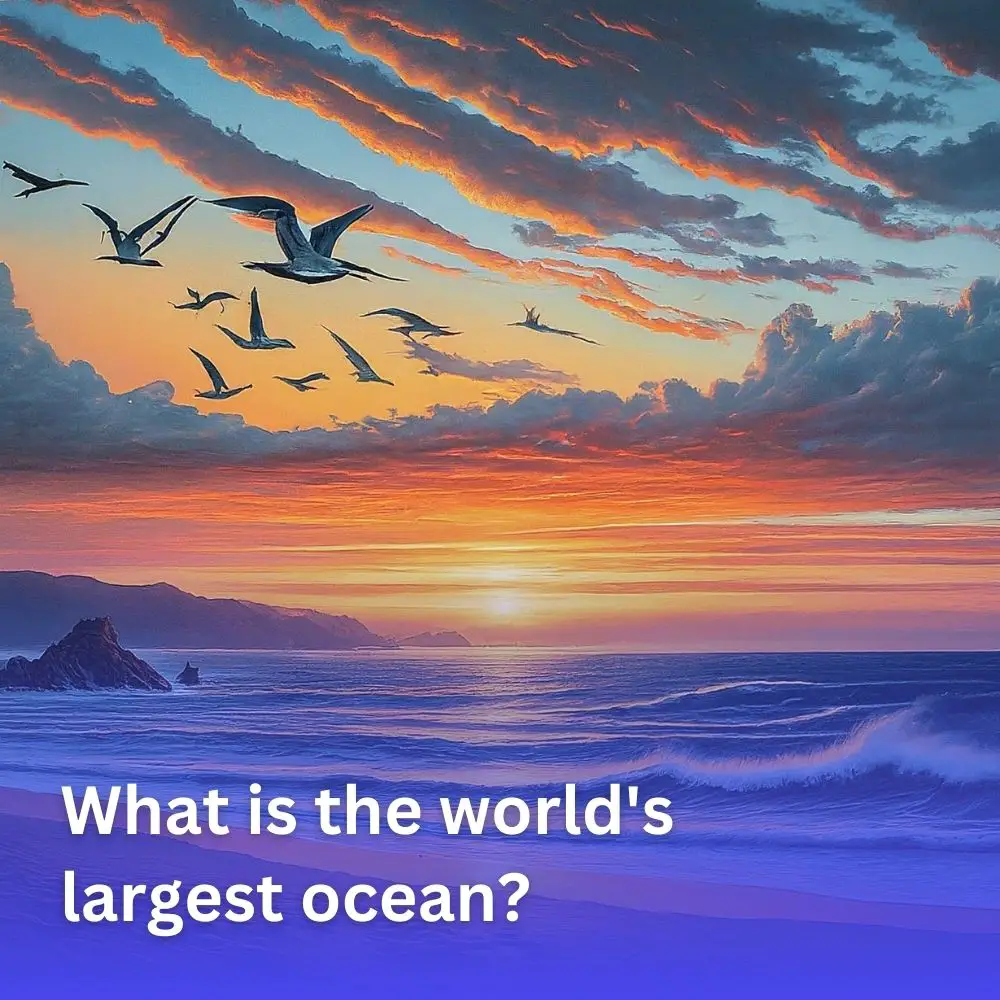 What is the world’s largest ocean?